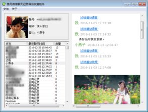 揭秘微信聊天记录查询秘籍，如何操作不被发现，揭秘靠谱渠道！