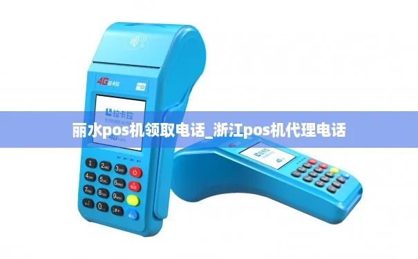 丽水POS机申请流程指南