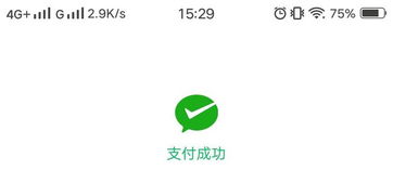 如何申请钉子支付POS机指南