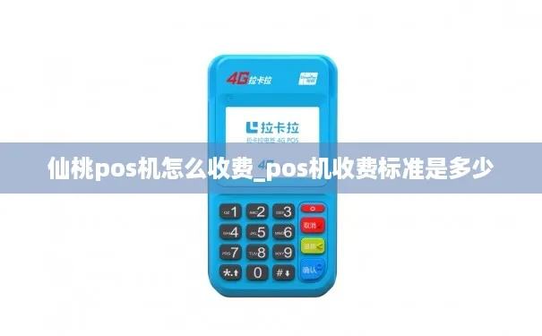仙桃POS机申请退款指南