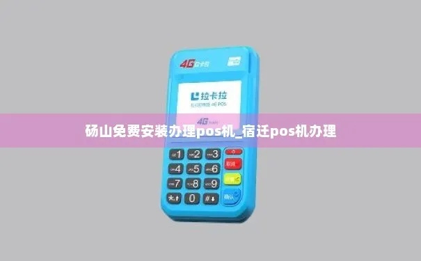 砀山POS机申请流程详解