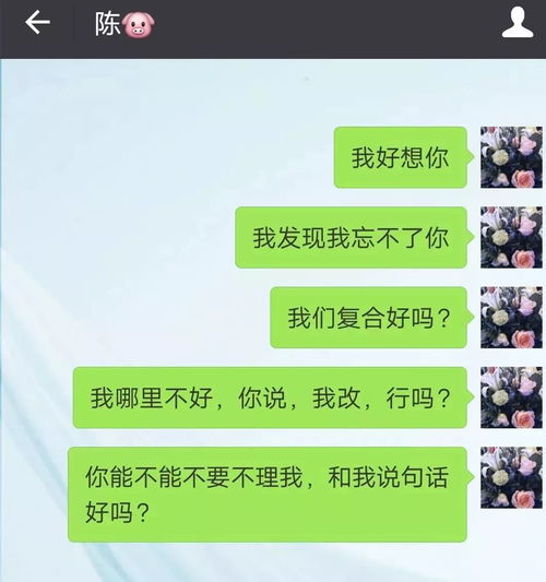 如何纔能盜取男友(女友)的qq聊天记录啊 盗取恋人QQ聊天记录的非法与不道德行为