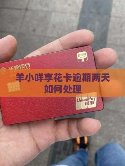 羊小咩享花卡取现周期15天 羊小咩享花卡取现周期15天详解