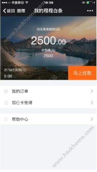 白条一千元提现 白条一千元提现攻略，轻松搞定，省心又省力！