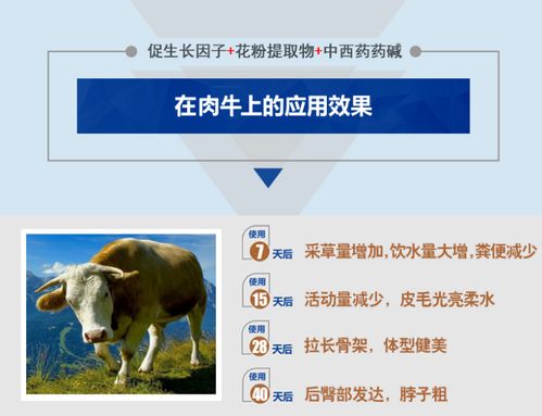 西宁羊小咩便荔卡找商家兑现 西宁羊小咩便荔卡找商家兑现指南
