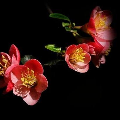 长沙pos机办理指南，聚付支付平台