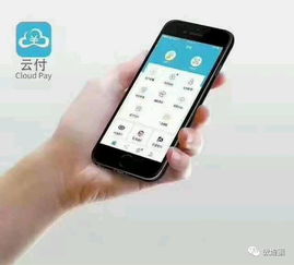 蓝色pos机申请全攻略，从零开始到成功之路