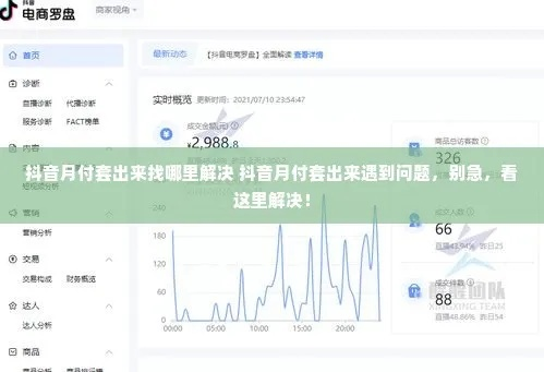 叠石桥抖音月付套出来 抖音月付套利揭秘，叠石桥案例分析