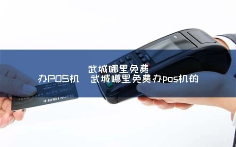 武城县POS机申请流程详解