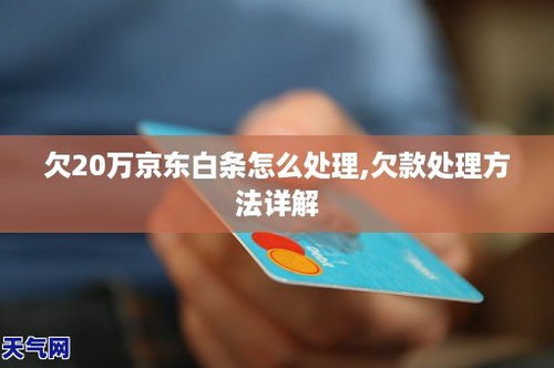 可靠白条套出来 可靠白条套出来攻略全解析