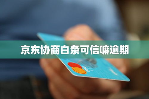 可靠白条套出来 可靠白条套出来攻略全解析