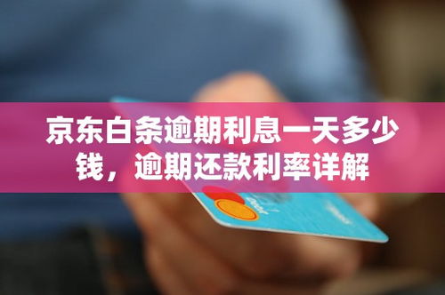 可靠白条套出来 可靠白条套出来攻略全解析