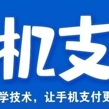 POS机办理指南，个人能办理的pos机数量及案例分析