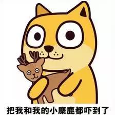 2000w查开房数据 揭秘网络黑市，2000万查开房数据的背后