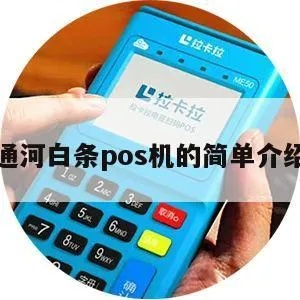 通河县POS机申请流程详解