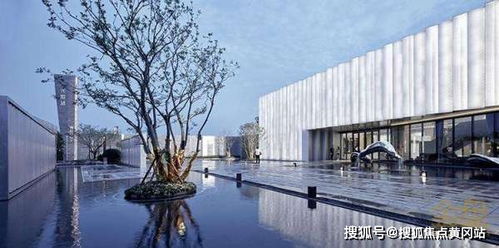 白条怎么样套出来出来啊安全吗 白条套取安全指南