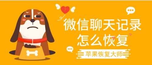 怎么查询别人微信近期聊天记录 揭秘微信近期聊天记录查询技巧，让你轻松掌握隐私信息！