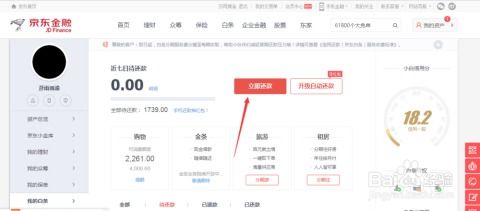 京东白条咋能提现到上面 京东白条提现到上面的方法与案例分析