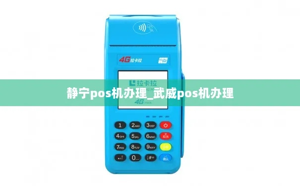 武威市POS机申请流程详解