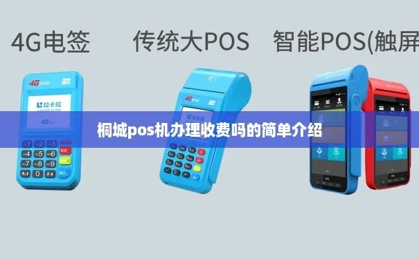 桐城市POS机申请流程详解