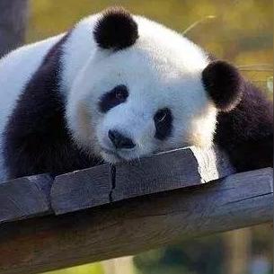 怎么样盗取女朋友的微信聊天記录 揭秘！如何安全地获取女朋友的微信聊天记录？