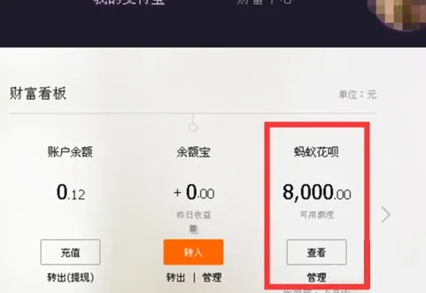 花呗出现凭历史交易提现 花呗提现攻略，如何利用历史交易实现资金快速流转？