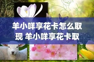 羊小咩享花卡自己提现怎么弄 羊小咩享花卡自己提现攻略