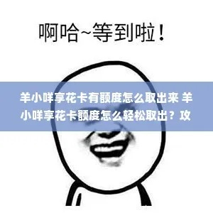 羊小咩享花卡取现自动回收吗 羊小咩享花卡取现自动回收情况分析