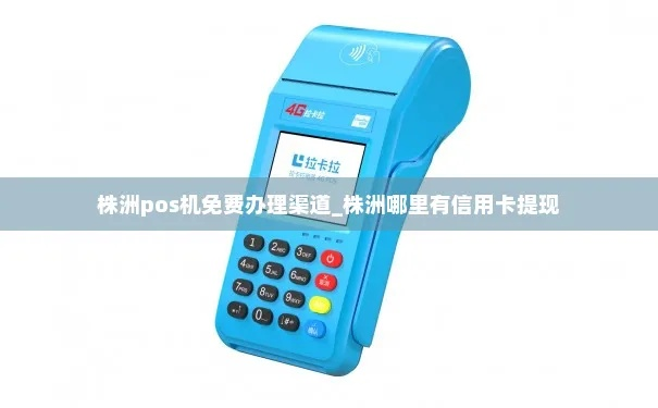 株洲哪里可以办理POS机？