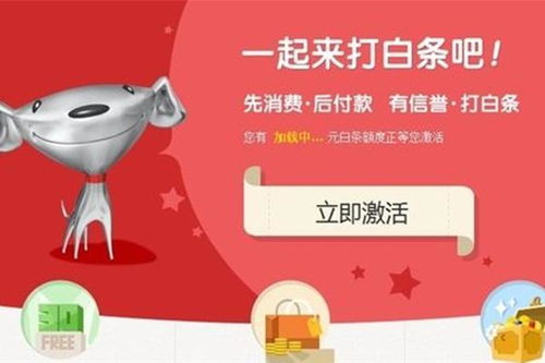 京东白条安全兑现 京东白条安全兑现，让你的消费无忧！