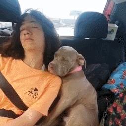 怎么转收男朋友的QQ信息?轻松转收男朋友QQ信息，掌握这些小技巧就对了！