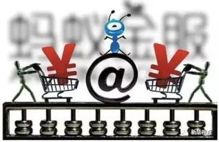 白条恶意套出来风控怎么办 白条恶意套出来风控怎么办？揭秘应对策略及案例分析
