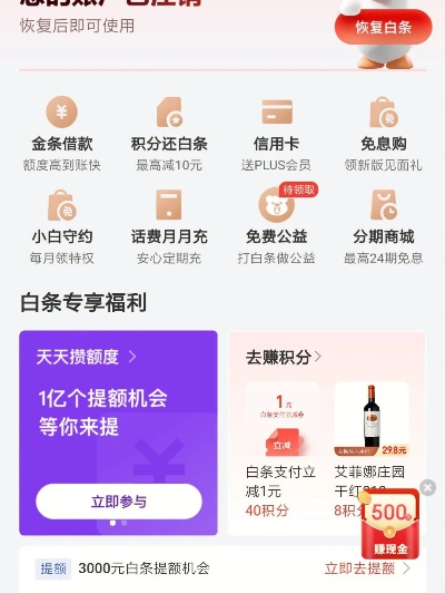 随州白条额度可以提现吗 随州白条额度提现全攻略