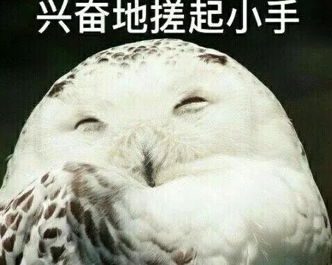 羊小咩便荔卡里的钱可以取现嘛 羊小咩便荔卡里的钱，能取现吗？一文揭秘！