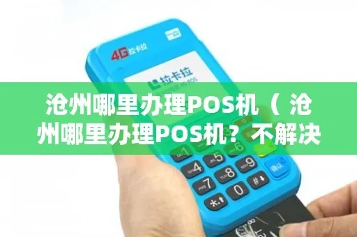 沧州市POS机办理全攻略