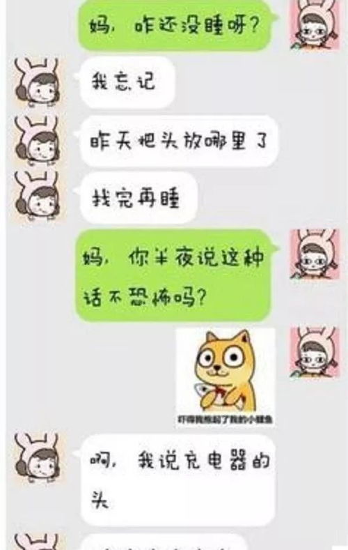 怎样才能盗我老婆的微信聊天記录 揭秘微信聊天记录盗贼之路，如何巧妙盗取你老婆的微信聊天记录