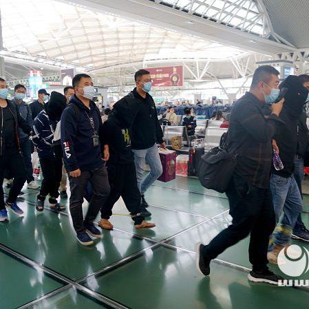羊小咩便荔卡付款提现 羊小咩便荔卡付款提现，轻松搞定你的资金流转！