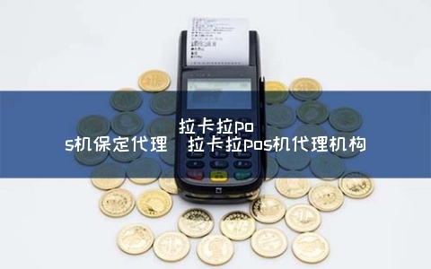保定拉卡拉POS机申请流程详解