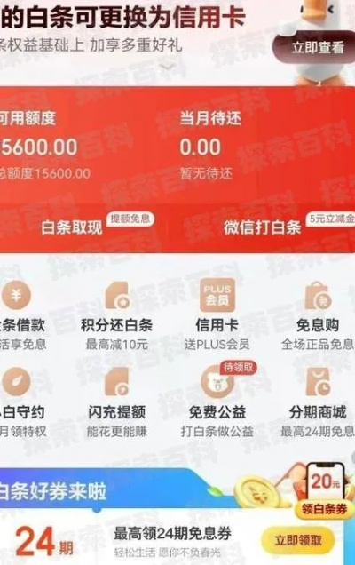 白条可消费额度套出来 白条可消费额度套出来攻略