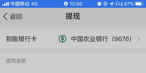 白条借呗能提现吗 白条借呗能否提现？案例分析与指南