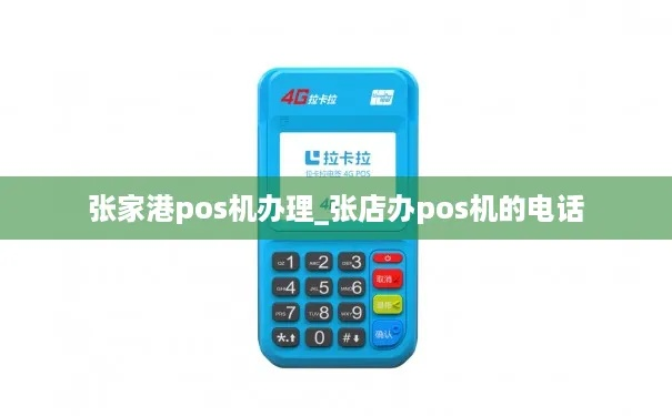 张家港个人POS机办理全攻略