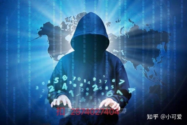 正规黑客私人在线接单网站 揭秘正规黑客私人在线接单网站，合法还是非法？