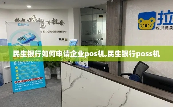 民生银行申请POS机的实用指南