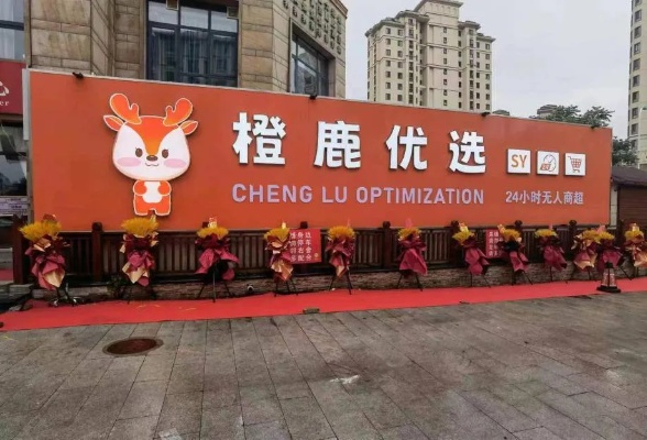 鹿优选额度提现,鹿优选额度增加多少 鹿优选额度提现攻略，揭秘额度增加的秘密！