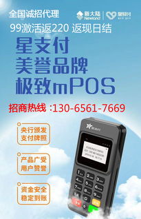 星支付POS机官网申请全攻略