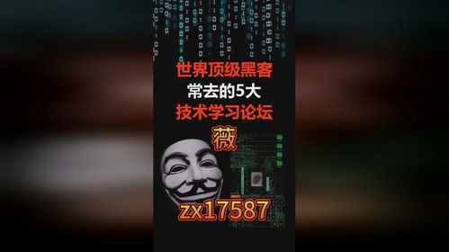 正规黑客24小时免费接单 正规黑客24小时免费接单，安全与效率的双重保障