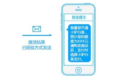 白条怎样申请取现 白条取现申请流程详解