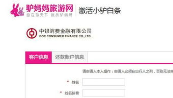 白条怎样申请取现 白条取现申请流程详解
