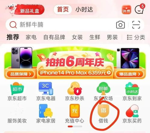 买什么东西可以京东白条提现 揭秘京东白条提现攻略，这些商品买完就能轻松提现！
