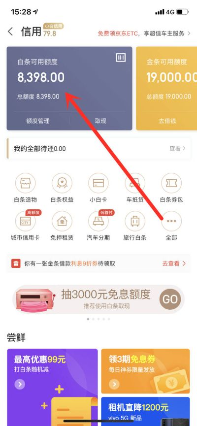手机白条怎么套出来白条 手机白条套现攻略